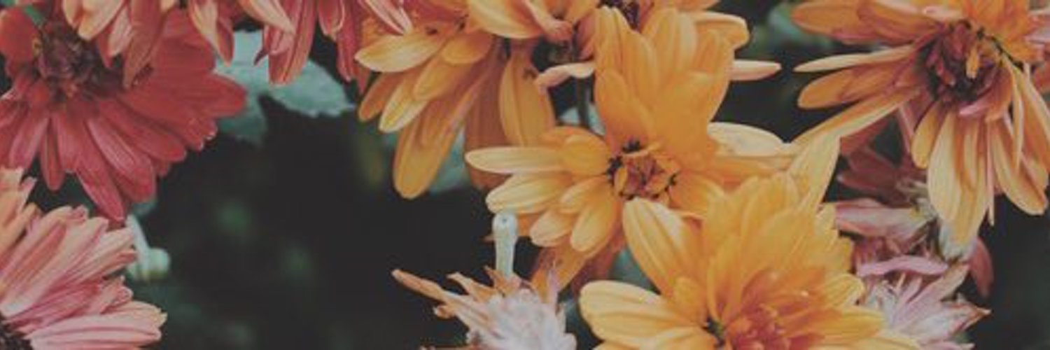 Abdul El-Sahili 🌈 photo