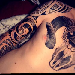 Timmy Tinny Time photo