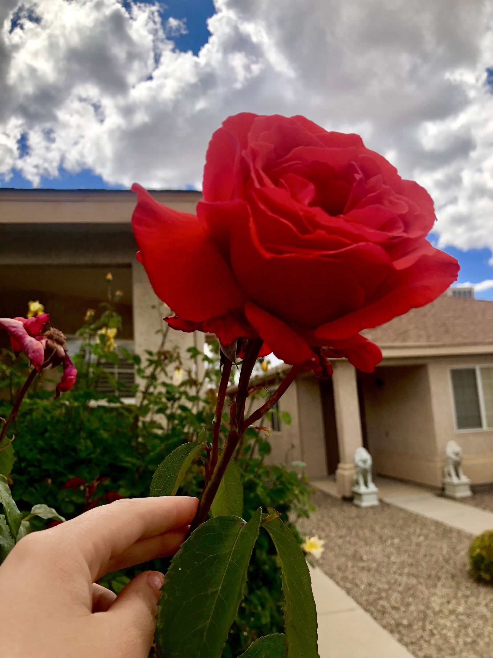 Baby Doll XcXx photo