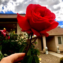 Baby Doll XcXx photo