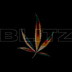 ๐BLITZ๐จ photo