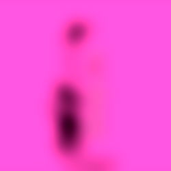 The Princess ๐ photo