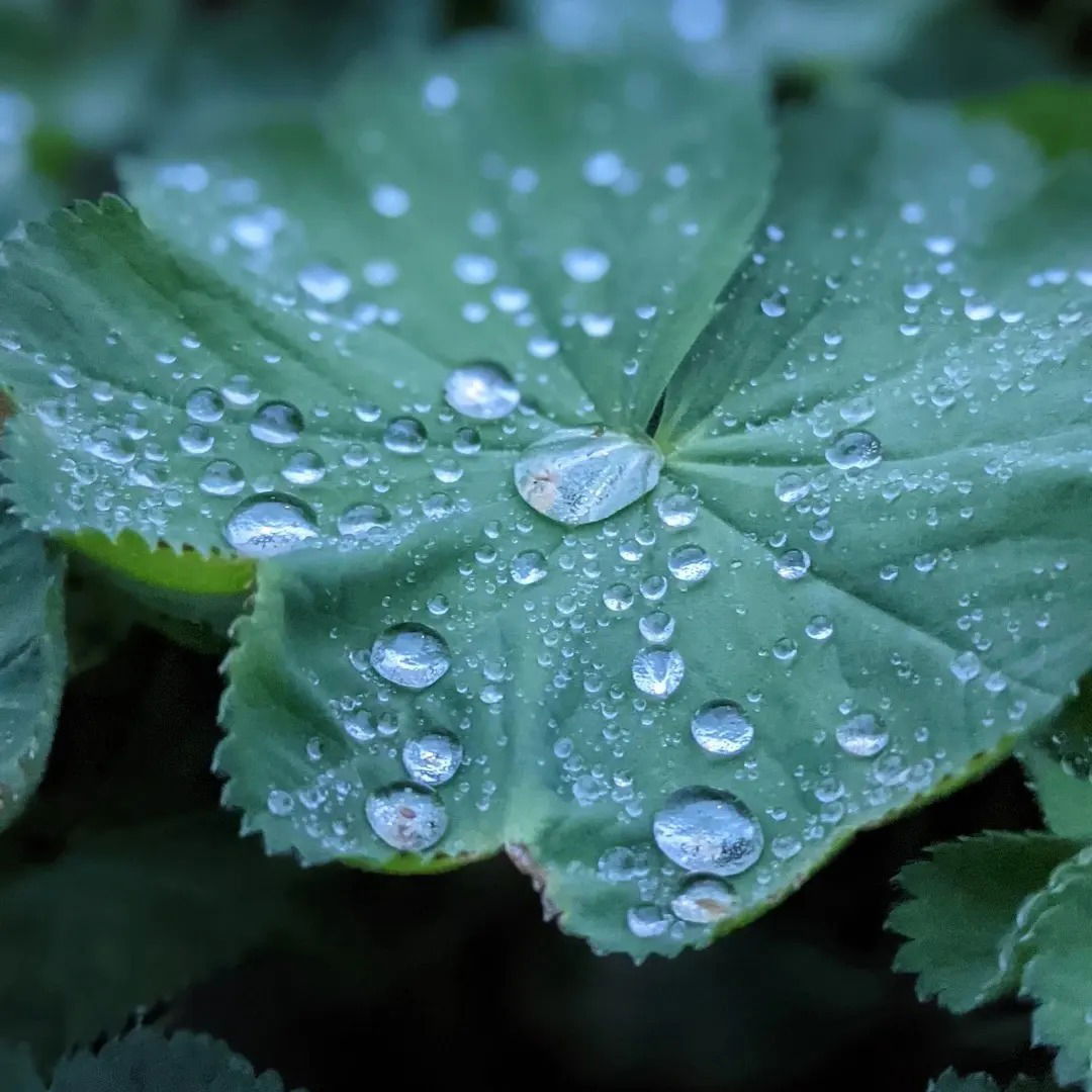 Frediprinzjrjr photo