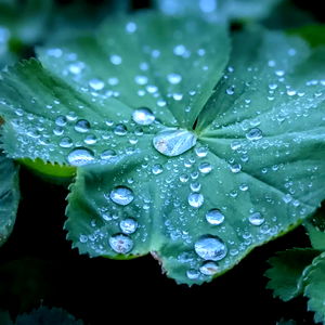 Frediprinzjrjr photo