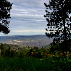 hidemyassdotcom photo