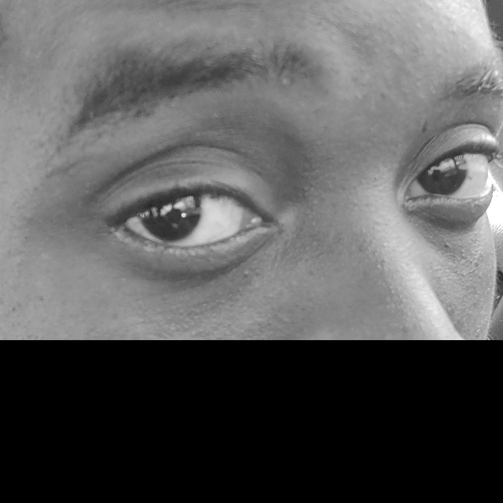 Tha World Serpent photo