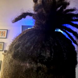 BigBlackCook's Style Showcased in Braid Ponytail