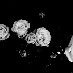 ๐BabyGirl๐ photo