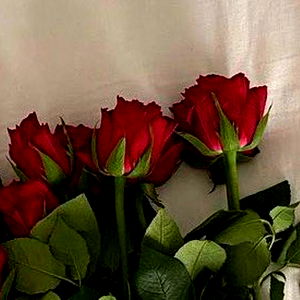 BabyMX♡︎🦋 photo