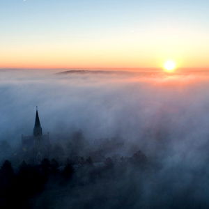 Frank Fellatio photo