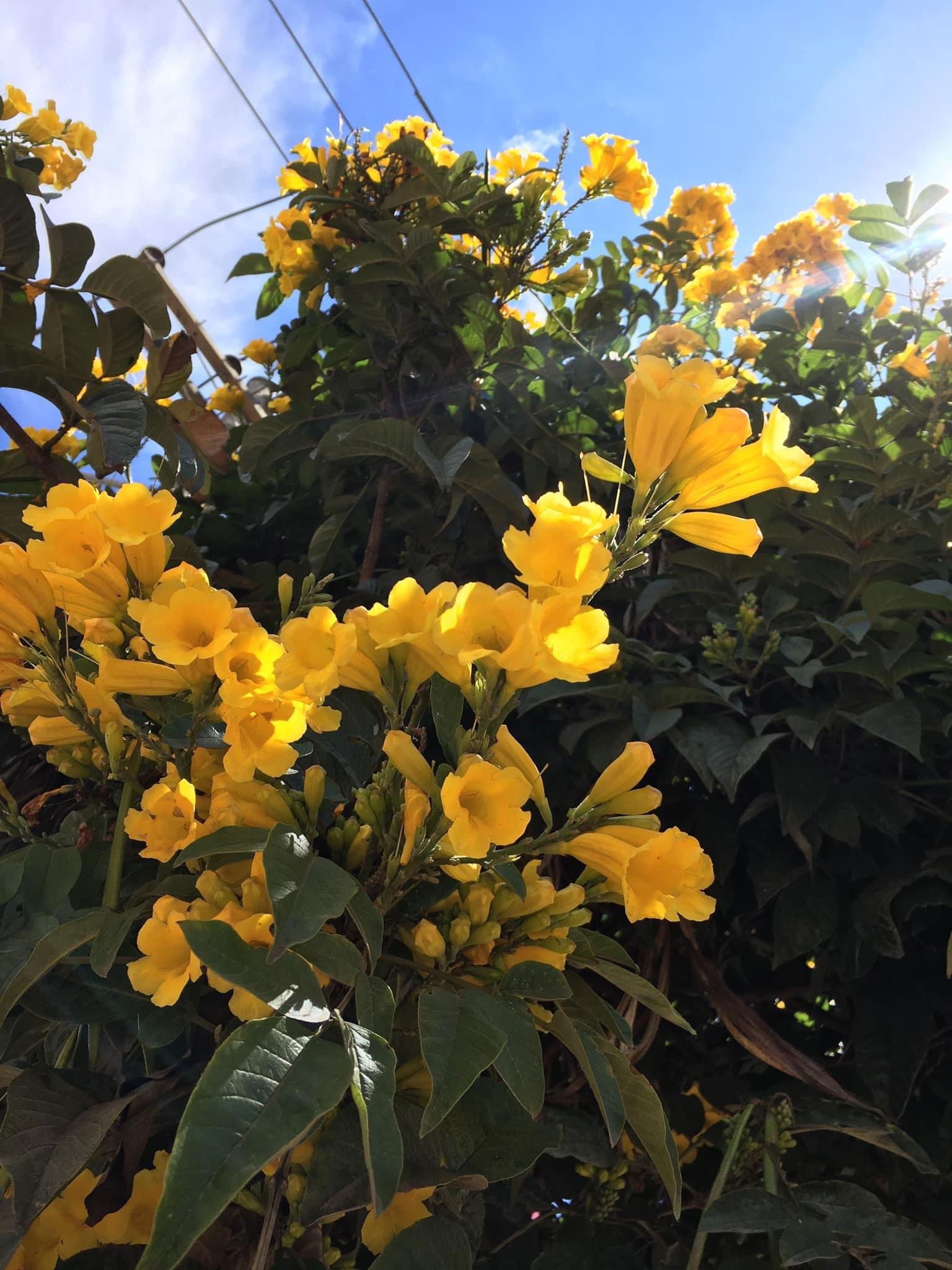 Andres Joven Gay photo