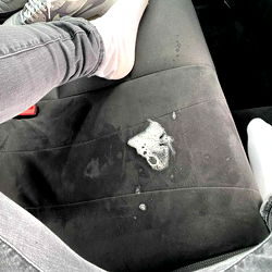 Alphaboss's Vehicle Seat with Stains and Wet Spot