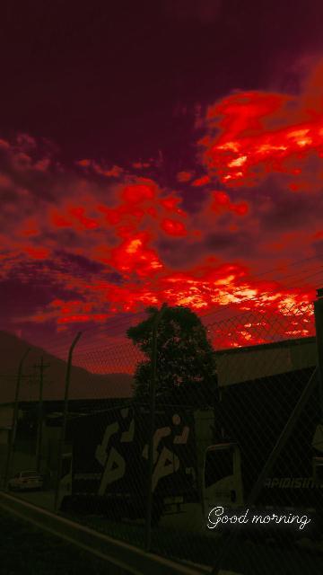 ❤️ Alex ❤️ photo