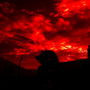 ❤️ Alex ❤️ photo