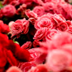 Andee wit tha Candee ๐ฌ๐ญ photo