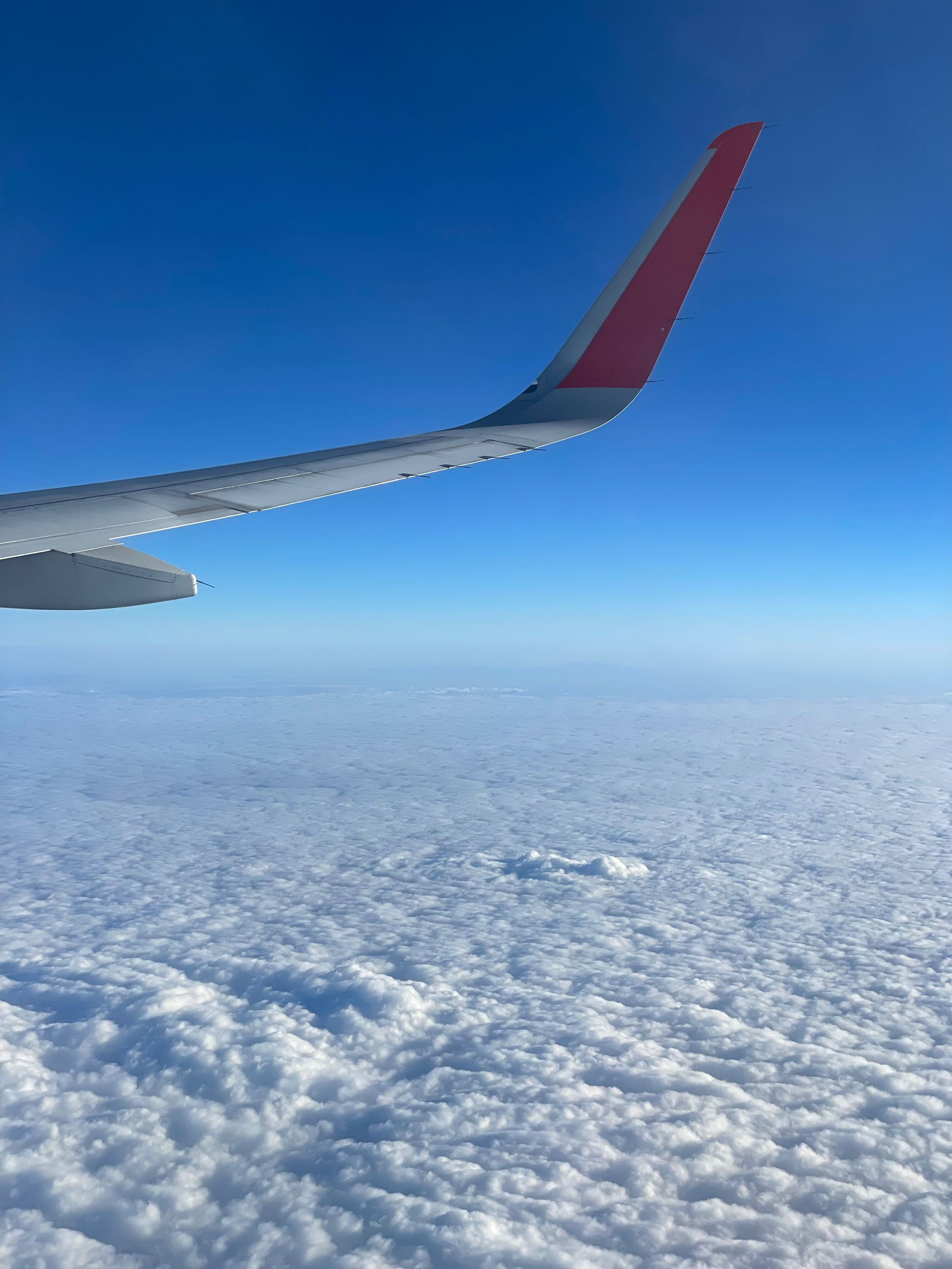 Føřęîġn Třÿşťš photo