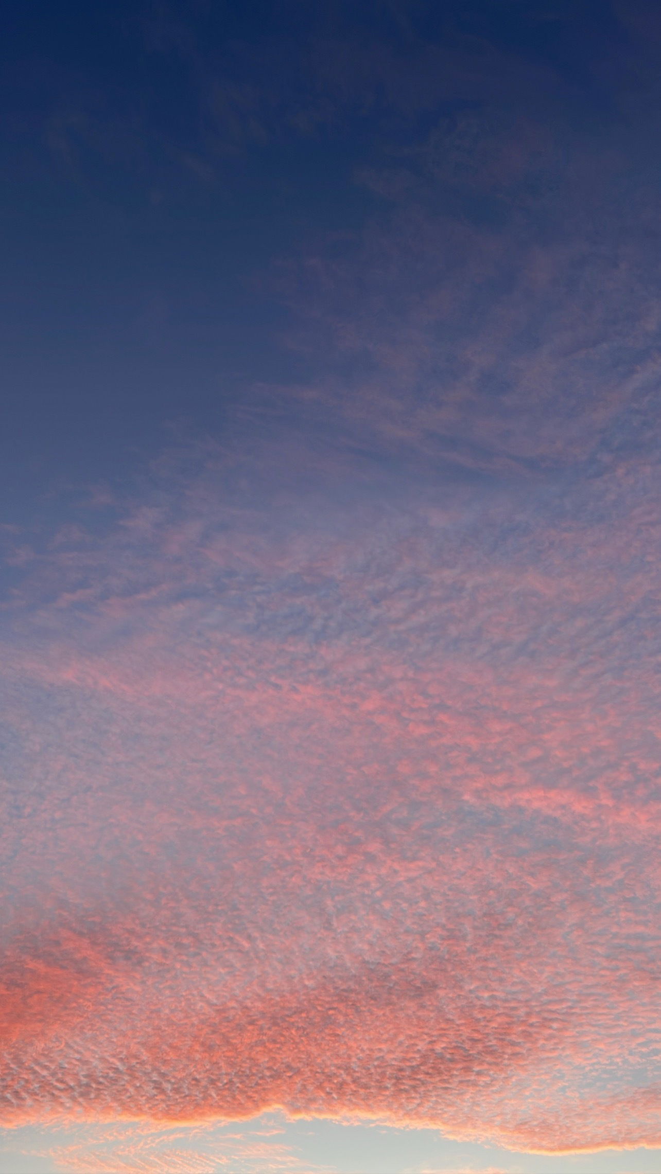 Afrodita Blanco photo