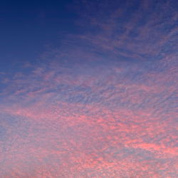 Afrodita Blanco photo