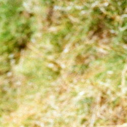 Uncut Hungdrum photo