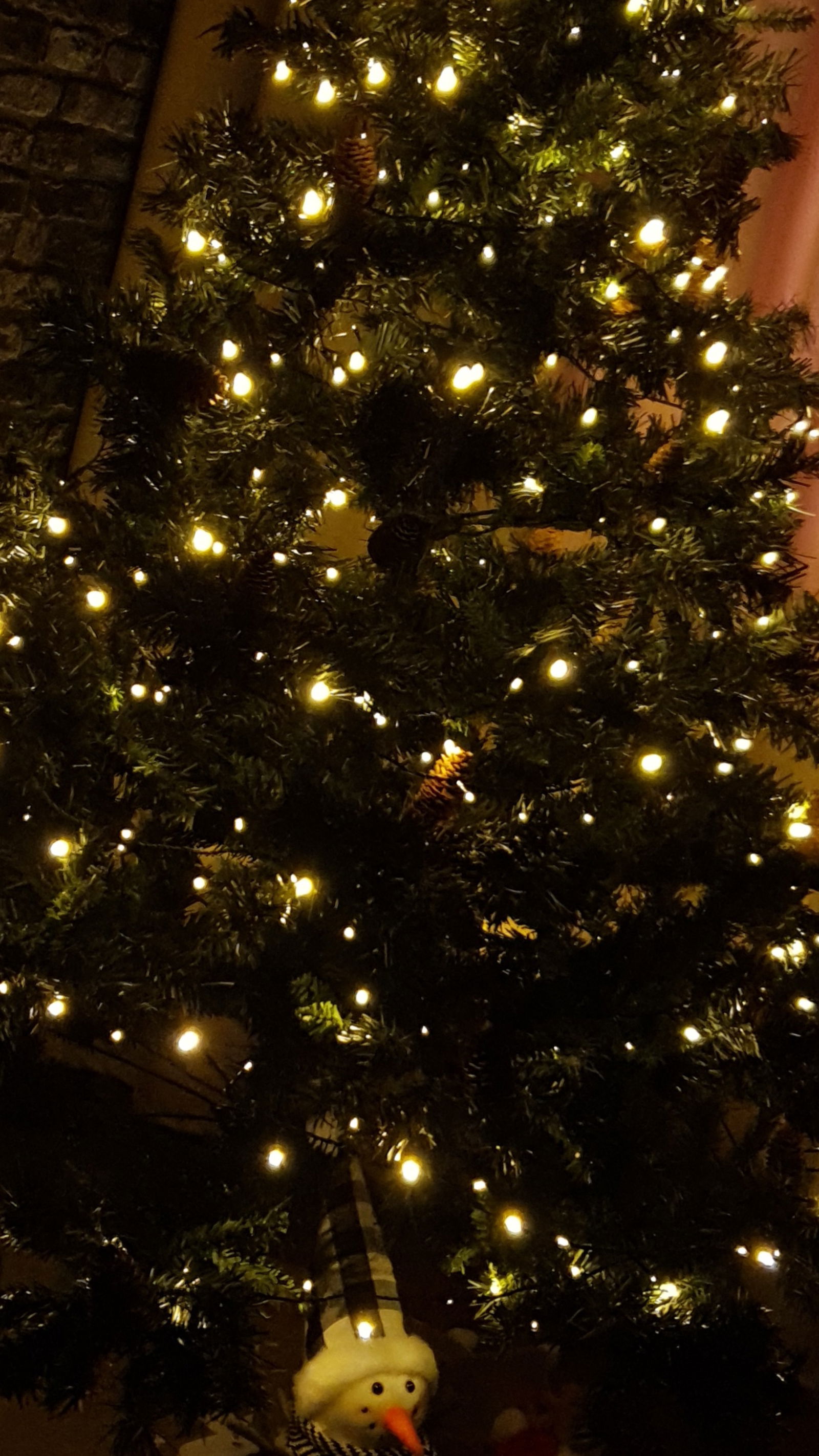 Alexandr Zolotov photo