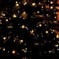 Alexandr Zolotov photo