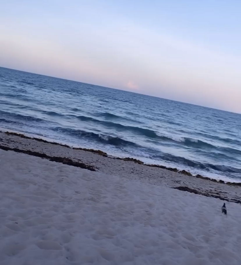 I Am Chanel💕 photo