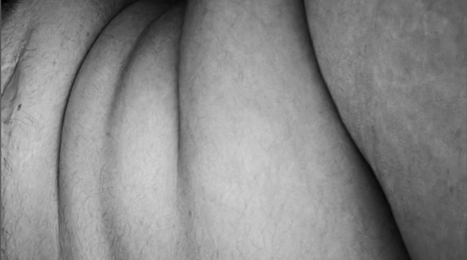 Piggy Cae 🐷 photo