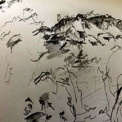 Hand-Drawn Sketch of a Mountainside Landscape