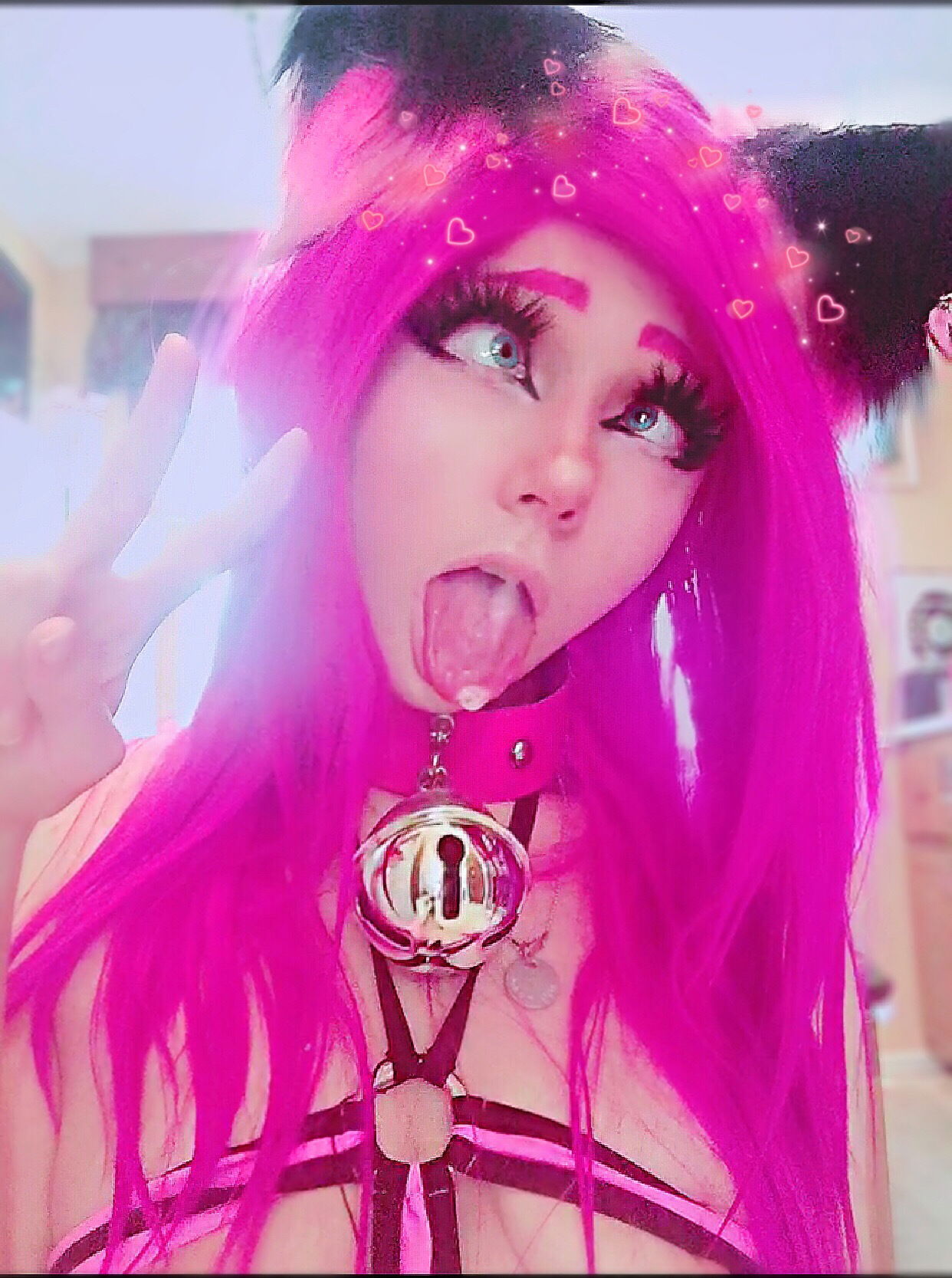 Bratty Cat (๑•̀ω•́ฅ✧ photo