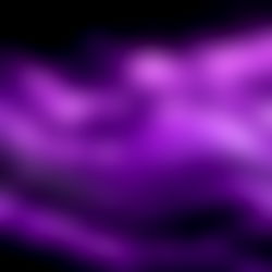 jasmine longmint photo