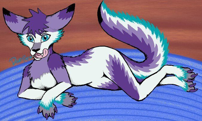 Bday Dec 11th🥳 Dusk🐺 Subrina🩵 Eclipse🐐 photo