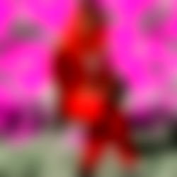 Princess LucyKatt photo