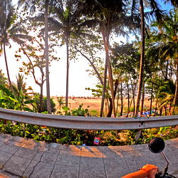 Lily๐Your secret desiresโจ photo