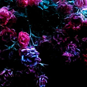 lil ma ๐คช photo