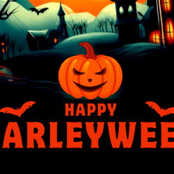 Harley ๐น Curve Main photo