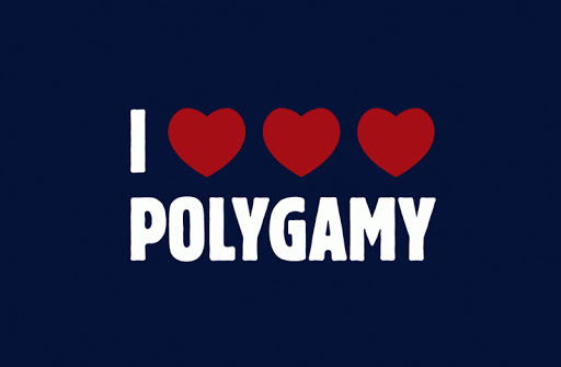 Polygamy Lifestyle photo