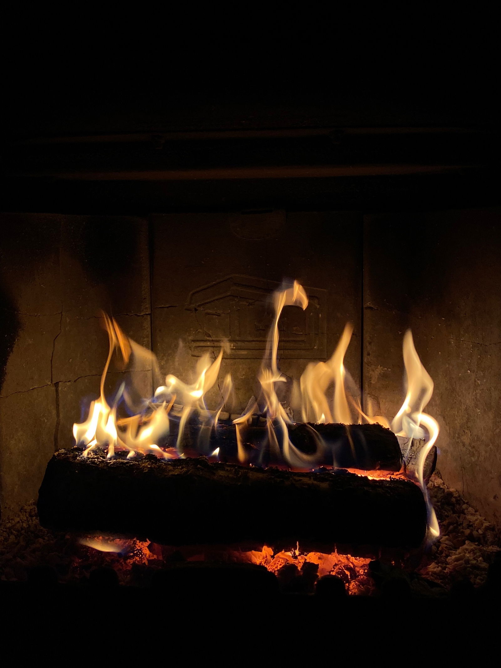 Anastasia Skofelt photo