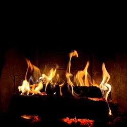 Anastasia Skofelt photo