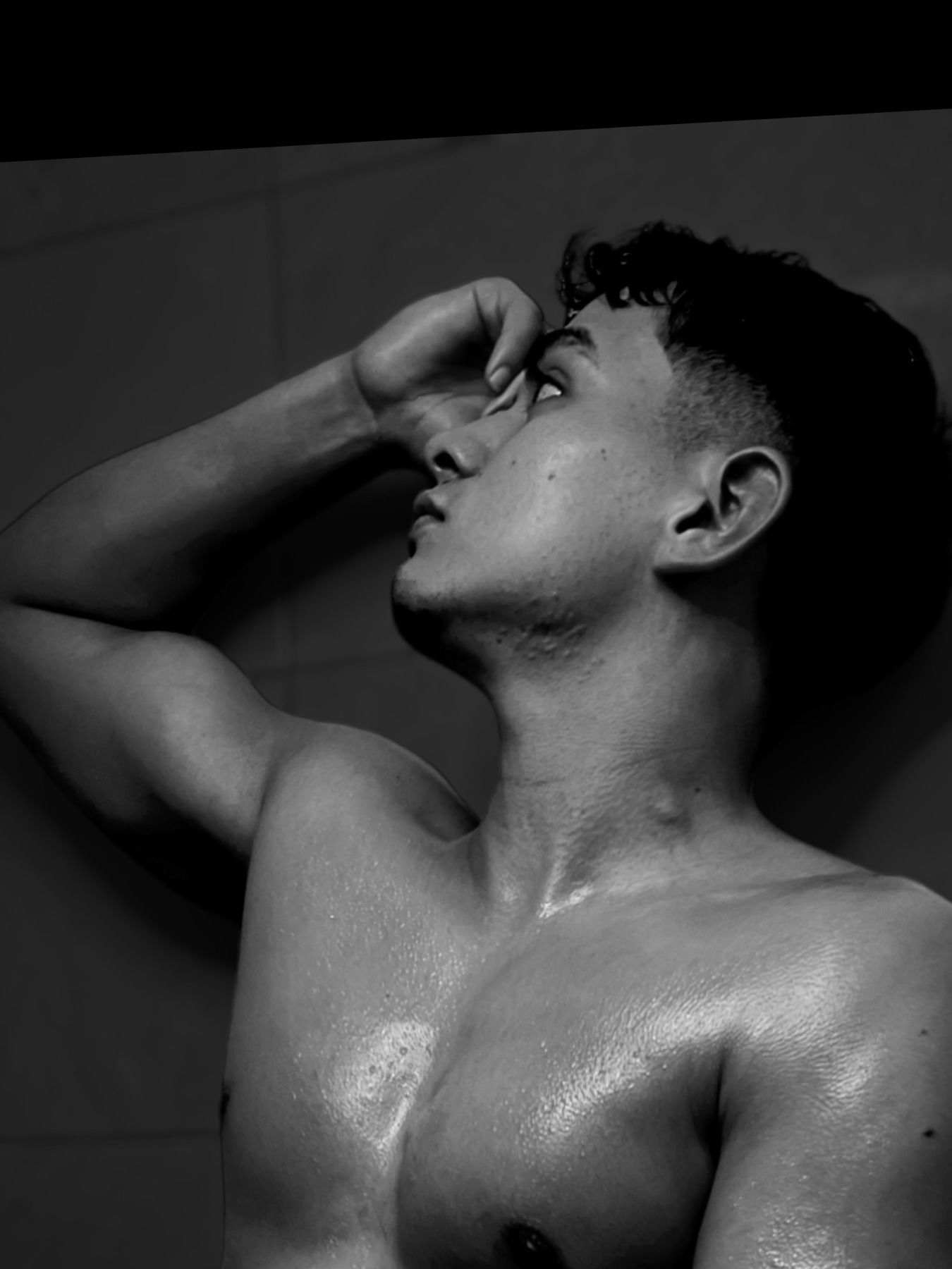 Adonis falcony photo