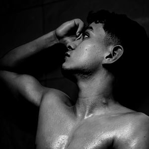 Adonis falcony photo