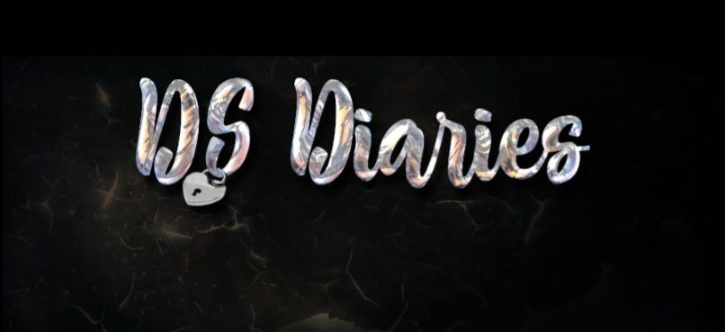 DS Diaries photo