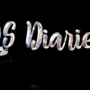 DS Diaries photo