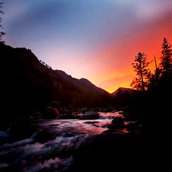 Alliemichael80 photo