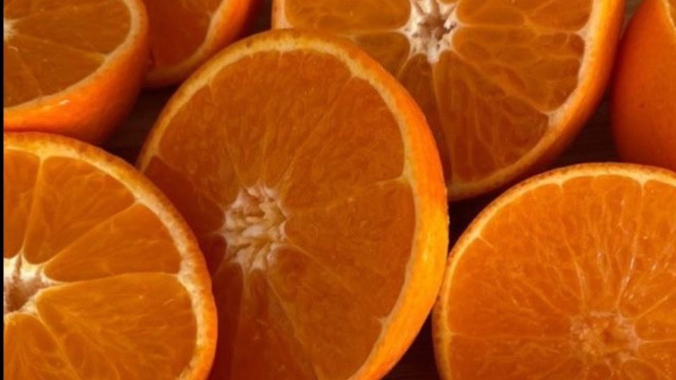 Ambitious Pussy photo