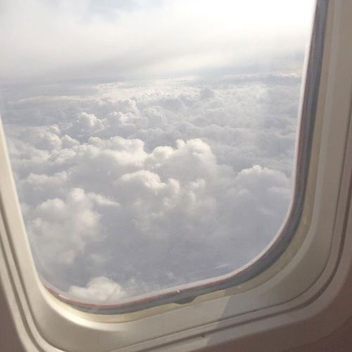 Selene Anderson photo