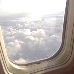 Selene Anderson photo