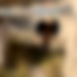 ๐ฒ๐๐๐๐๐โ๐ ๐ฝ๐ฐ๐ท ๐ฑ๐ผโโ๏ธ photo