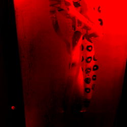 Model Arielor - 360 Views, Strong Content