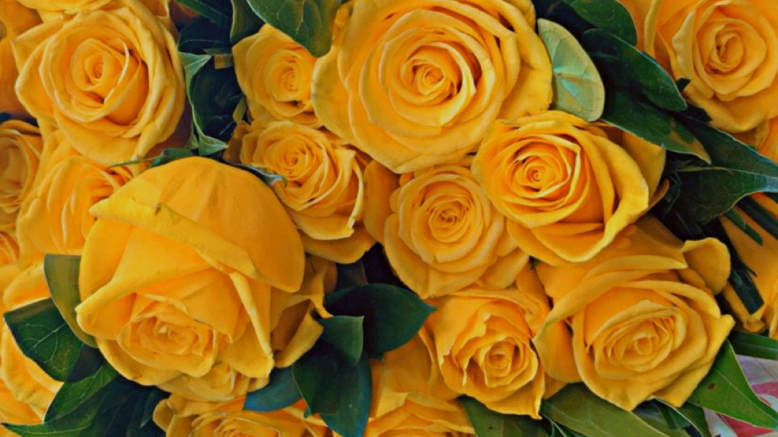 Delicious_Chocolate photo