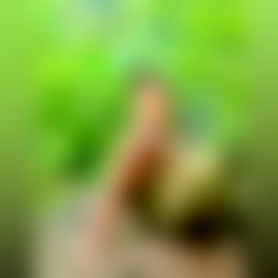 BIENVENIDOS A MI ONLYFANS AMOR ๐ซฆ๐ฆโค๏ธโ๐ฅ photo